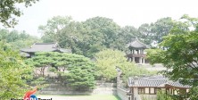 Changduk palace III