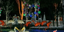 Village of light- Ansan l…