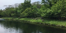 Eco land